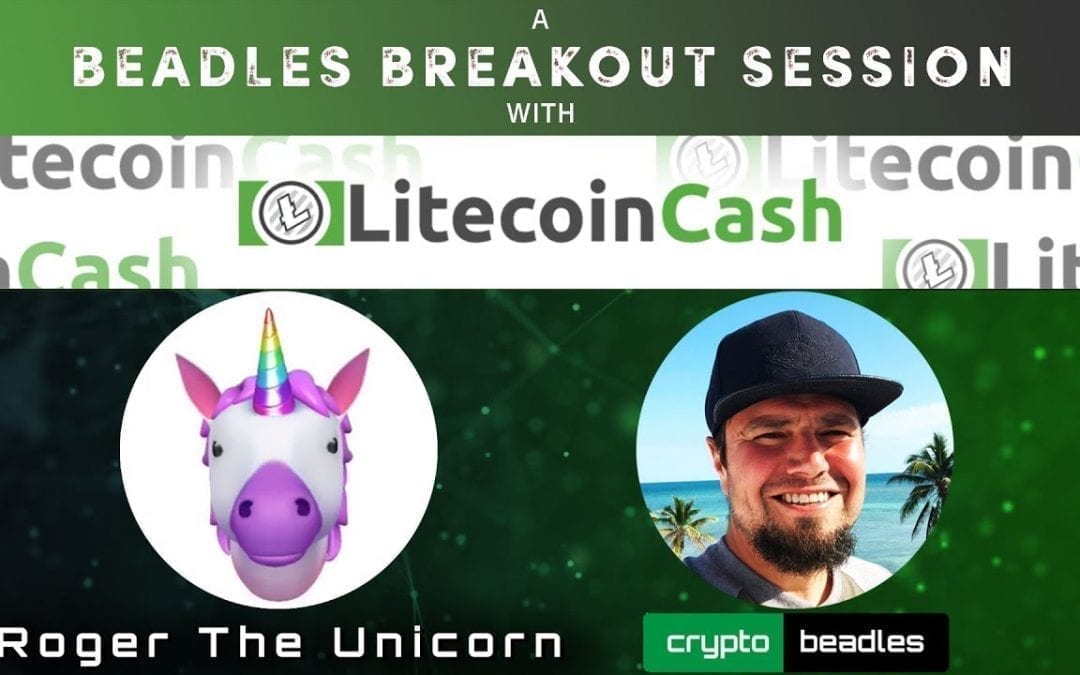 MUST WATCH LiteCoin Cash Interview, Founder addresses Crypto Scam Claims (LCC)