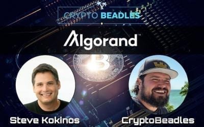 ⎮Algorand⎮Pure Proof Of Stake Blockchain with Crypto Rewards