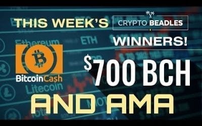 $700 in BCH Giveaway ⎮LIVE⎮Monarch Wallet and BCH Updates! Antminer S9 GIveaway, AMA and more!