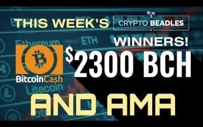 LIVE $2300 In BCH giveaways, Crypto, Bitcoin, Blockchain AMA and MORE!