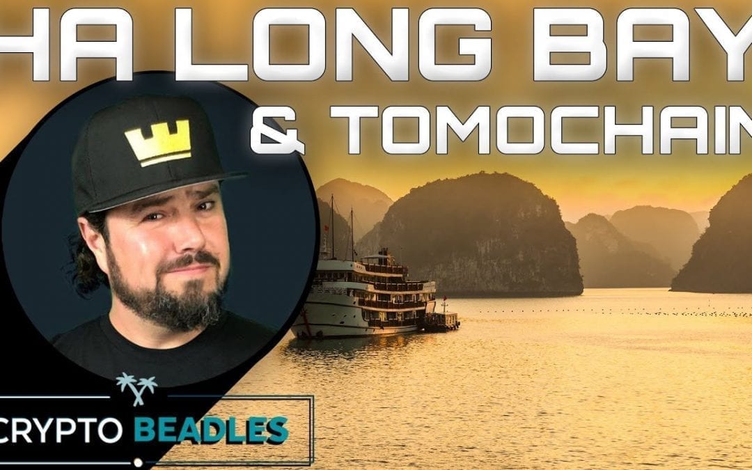 TomoChain Day 2 and incredible sights from Halong Bay Vietnam⎮Crypto⎮Blockchain⎮