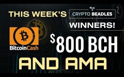 Live $800 BCH Giveaway! Details on $1,000 USD giveaway and More!⎮Blockchain⎮Bitcoin⎮Crypto⎮