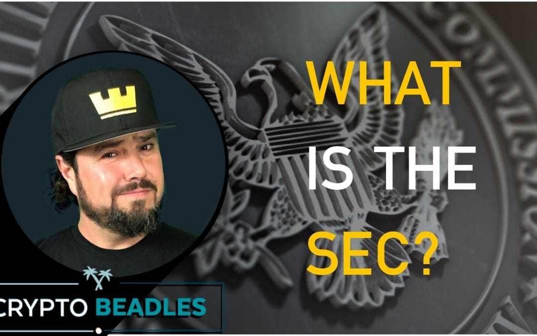 What is the SEC? What is the Securities and Exchange Commission? What does the SEC do?