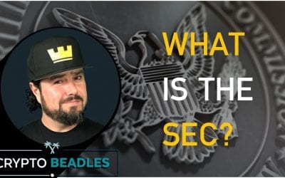 What is the SEC? What is the Securities and Exchange Commission? What does the SEC do?