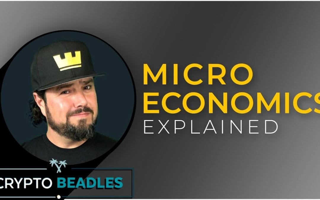 Micro Economics Explained. What is Micro Economics?