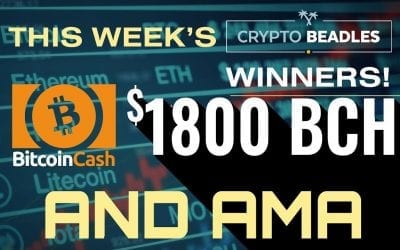 One Thousand Eight Hundred Dollars in LIVE Giveaways! AMA and More!⎮Blockchain⎮Bitcoin⎮Crypto⎮