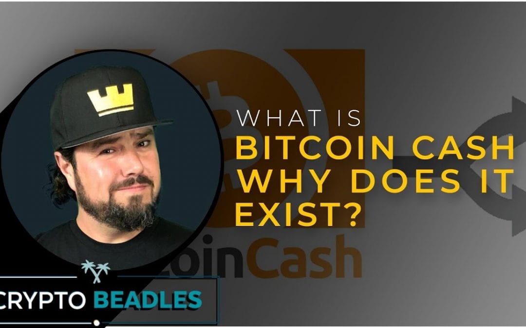 What is Bitcoin Cash⎮BCH⎮ How is Bitcoin Cash different from Bitcoin, Whats SLP?