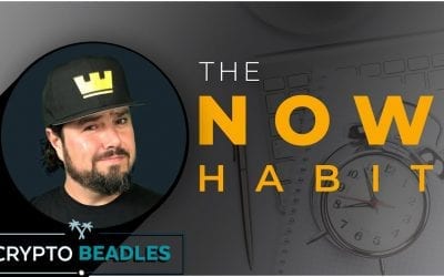 Procrastinate much? Check out some useful nuggets from “The NOW HABIT” by Neil Fiore