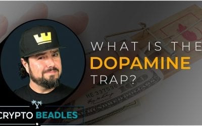 What is the dopamine trap? Valuable takeaways from Building Self Discipline by Martin Meadows PT 2